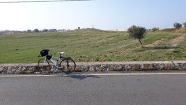 20191029_101611.jpg 20191029_101611.jpg