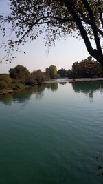 20191029_114756.jpg 20191029_114756.jpg