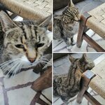 WhatsApp Image 2019-11-04 at 15.39.35.jpeg