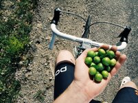 2018-05-01 05.35.40 1.jpg