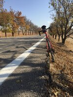 41D59E58-94E4-439E-9B32-B60EFD36EE96.jpeg 41D59E58-94E4-439E-9B32-B60EFD36EE96.jpeg