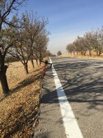 989381DE-9080-48A2-8D75-1A302D52E514.jpeg 989381DE-9080-48A2-8D75-1A302D52E514.jpeg