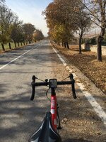 48094215-38F1-418D-B78B-211AAEAEE323.jpeg 48094215-38F1-418D-B78B-211AAEAEE323.jpeg