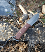 2019-11-19 10.44.43.png