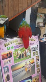 20180502_150101.jpg