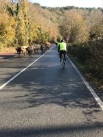 49c855bb-c915-4a74-8c7c-2e3d77b8819e.jpg 49c855bb-c915-4a74-8c7c-2e3d77b8819e.jpg