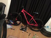 2020-01-24 20.07.55.jpg