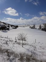 WhatsApp Image 2020-02-09 at 17.45.02 (3).jpeg