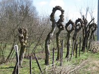 88162517_10157966961887381_1065960202253107200_o.jpg 88162517_10157966961887381_1065960202253107200_o.jpg