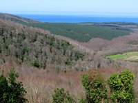 88220547_10157983761487381_6664578071204462592_o.jpg 88220547_10157983761487381_6664578071204462592_o.jpg