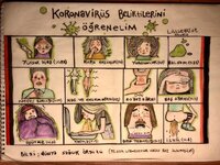 Little Hazot symptoms.jpeg