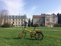 WhatsApp Image 2020-03-30 at 19.56.34.jpeg