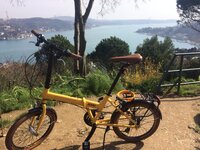 WhatsApp Image 2020-03-30 at 19.56.33.jpeg