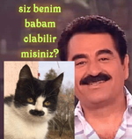 2020-03-07 12.17.51.png