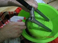 IMG_2310 (Medium).JPG IMG_2310 (Medium).JPG