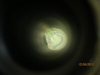 IMG_2371 (Medium).JPG IMG_2371 (Medium).JPG