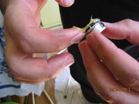 IMG_2544 (Medium).JPG IMG_2544 (Medium).JPG