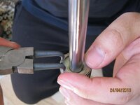 IMG_2554 (Medium).JPG IMG_2554 (Medium).JPG