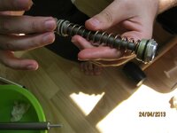 IMG_2561 (Medium).JPG IMG_2561 (Medium).JPG