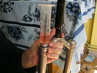 IMG_2570 (Medium).JPG IMG_2570 (Medium).JPG