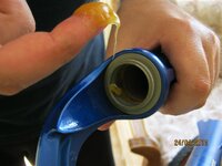 IMG_2581 (Medium).JPG IMG_2581 (Medium).JPG