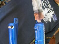 IMG_2587 (Medium).JPG IMG_2587 (Medium).JPG