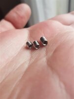 20200402_154921 (Medium).jpg 20200402_154921 (Medium).jpg