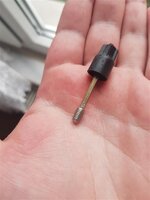 20200402_155118 (Medium).jpg 20200402_155118 (Medium).jpg