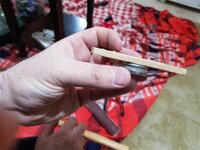 20200325_235714 (Medium).jpg 20200325_235714 (Medium).jpg