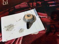 20200327_152832 (Medium).jpg 20200327_152832 (Medium).jpg