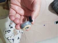 20200327_212341 (Medium).jpg 20200327_212341 (Medium).jpg