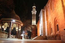 48356521_10217422926595117_5542666810295320576_o.jpg 48356521_10217422926595117_5542666810295320576_o.jpg