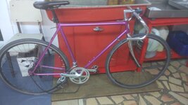 WhatsApp Image 2020-04-14 at 21.26.42.jpeg WhatsApp Image 2020-04-14 at 21.26.42.jpeg