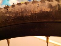 IMG_20200422_215958.jpg