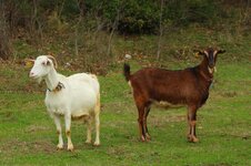 50634371_10217735103359341_7445453071791947776_o.jpg 50634371_10217735103359341_7445453071791947776_o.jpg