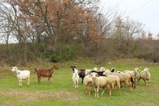 50936423_10217735100199262_5509391168917471232_o.jpg 50936423_10217735100199262_5509391168917471232_o.jpg