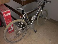 WhatsApp Image 2020-05-02 at 16.30.40 (6).jpeg