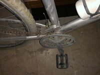 WhatsApp Image 2020-05-02 at 16.30.40.jpeg