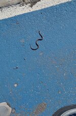 IMG_20200509_191902.jpg
