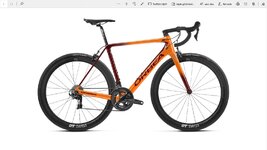 turuncu orbea.jpg turuncu orbea.jpg