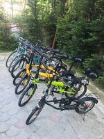 EDF2CCF6-D327-4384-BEC1-34E332F602A7.jpeg EDF2CCF6-D327-4384-BEC1-34E332F602A7.jpeg