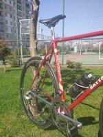 WhatsApp Image 2020-03-22 at 15.21.31.jpeg