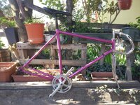 WhatsApp Image 2020-04-16 at 16.39.09.jpeg