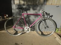 WhatsApp Image 2020-05-12 at 18.46.40.jpeg