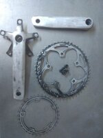 WhatsApp Image 2020-03-16 at 17.07.27.jpeg