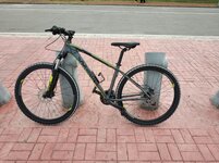 Whistle Miwok 1827.jpeg