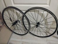 IMG_20200601_174924.jpg IMG_20200601_174924.jpg