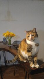 20190412_222645.jpg