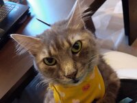 IMG_20200530_201644.jpg