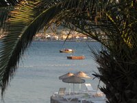 IMG_4799.JPG IMG_4799.JPG